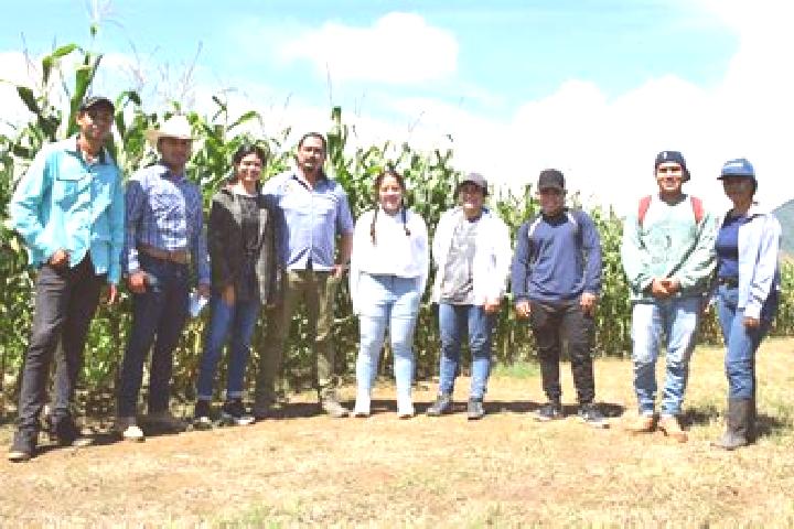 escort Agronomos Mexicanos