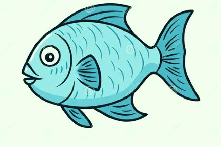 escort Agua de Pescadito