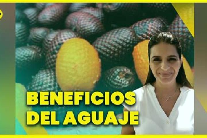 escort Aguaje el Zapote