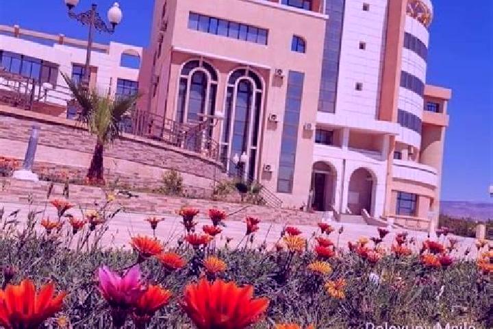 escort Ain el Hadjel