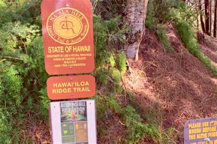 escort Aina Haina-Hawaii Loa Ridge