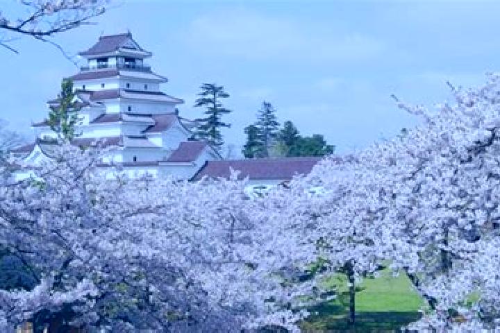 escort Aizu-Wakamatsu