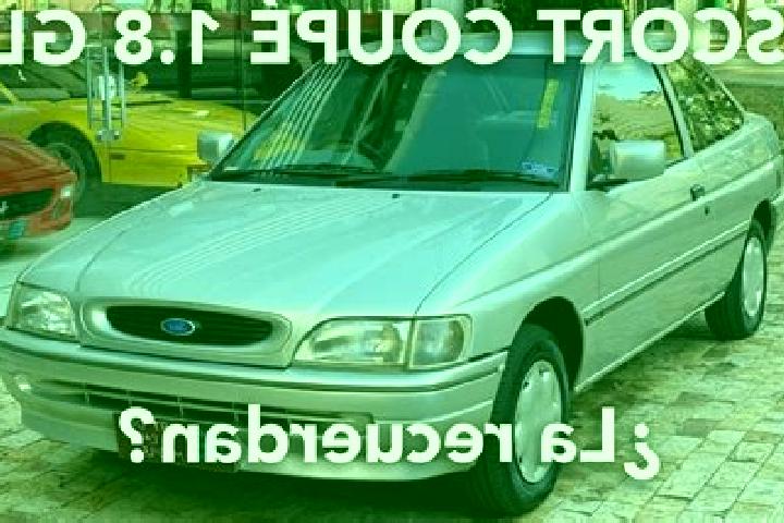 escort Al Burayj