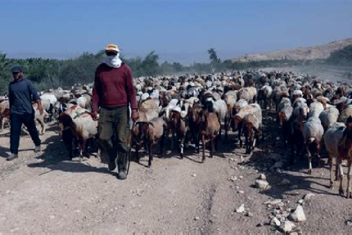 escort Al Jiftlik