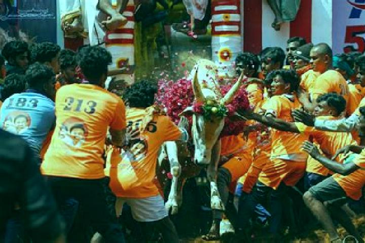 escort Alanganallur