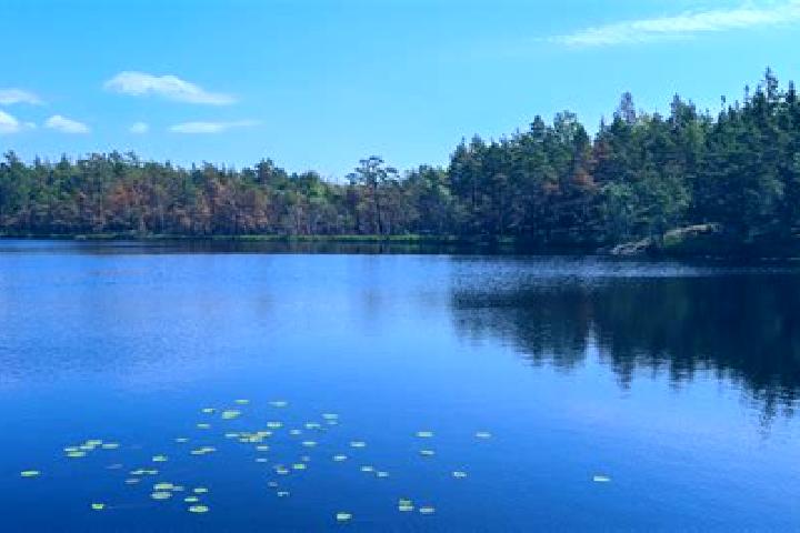 escort Albro Lake