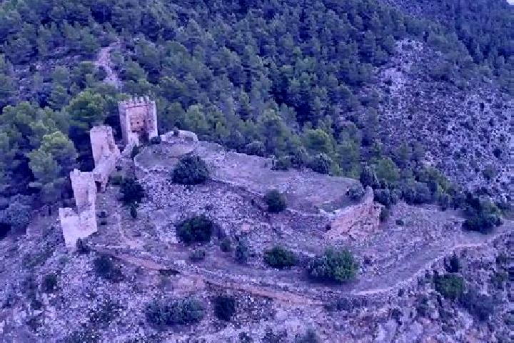 escort Alcudia de Veo