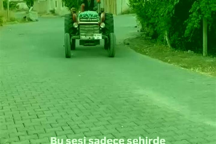 escort Alibeyli