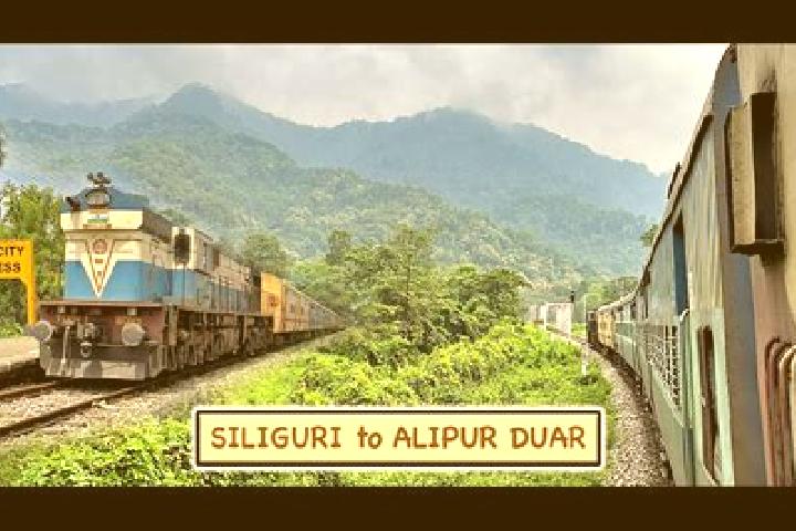 escort Alipur Duar