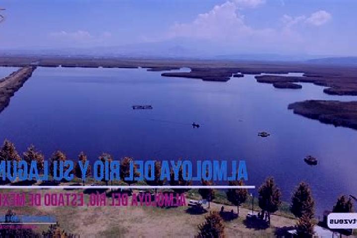 escort Almoloya del Rio