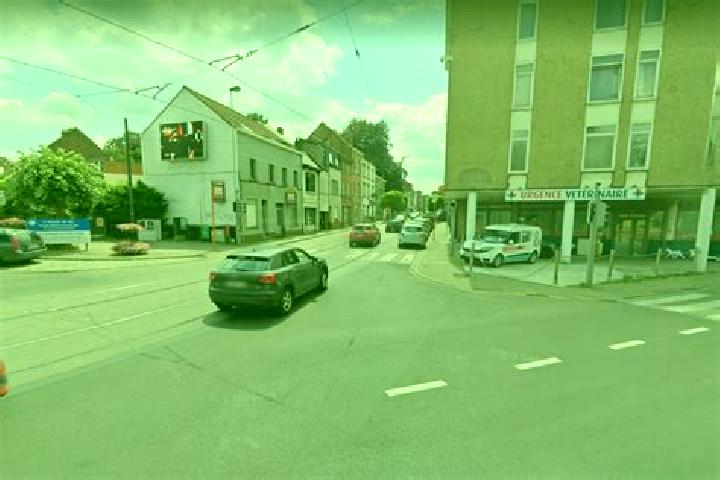 escort Alsemberg