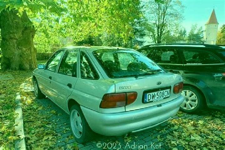 escort Altstatten