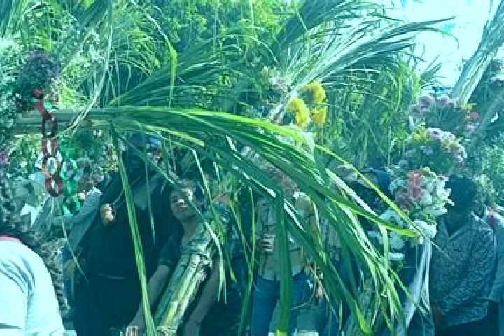 escort Amayuca