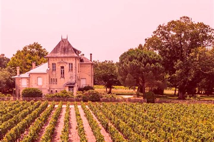 escort Ambillou-Chateau