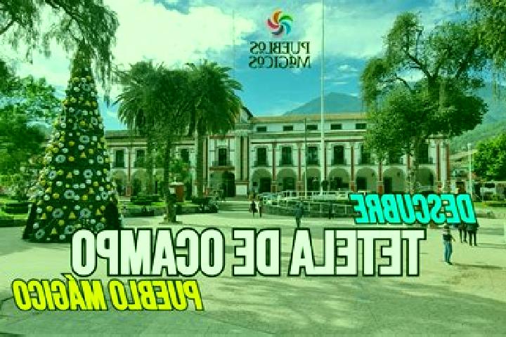 escort Amola de Ocampo