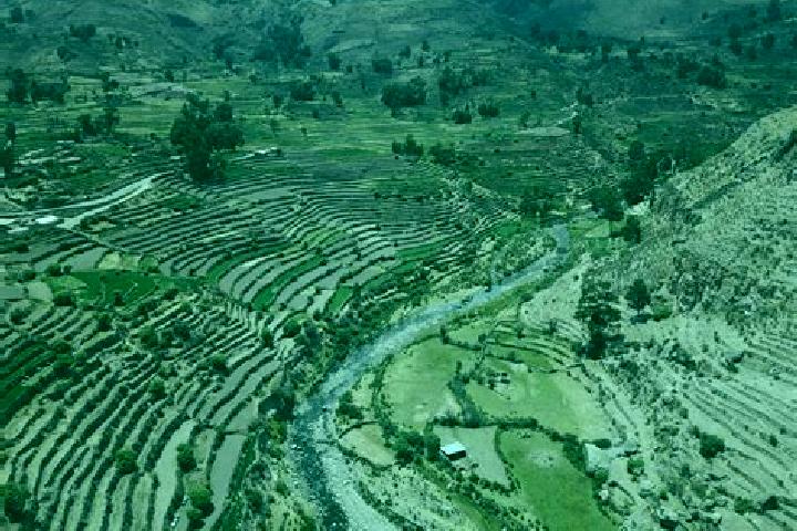 escort Andamarca