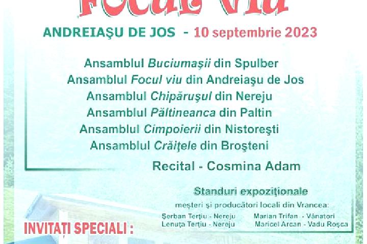 escort Andreiasu de Jos