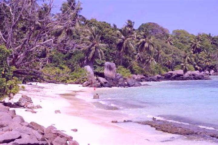 escort Anse aux Pins