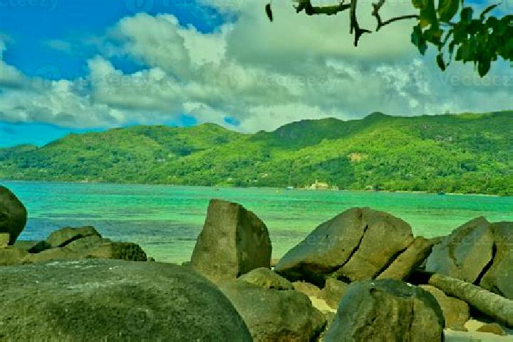 escort Anse Royale