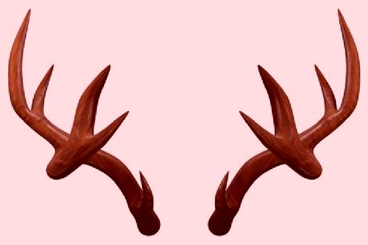 escort Antlers