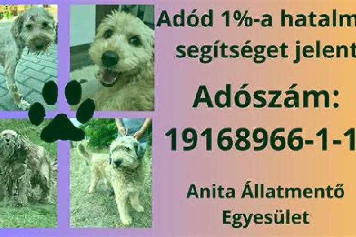 escort Apatfalva