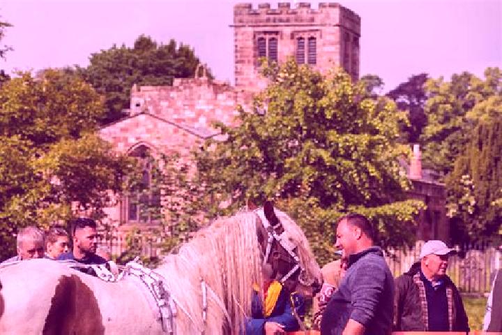 escort Appleby-in-Westmorland