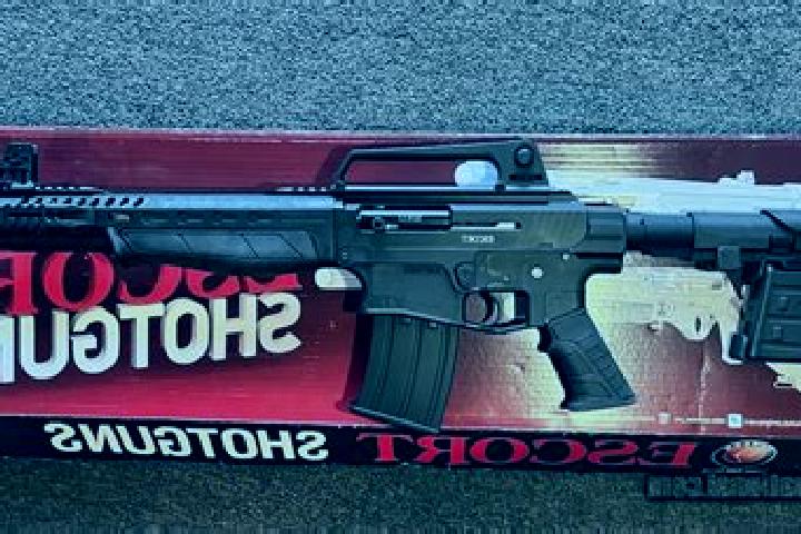 escort Ar Ramadi