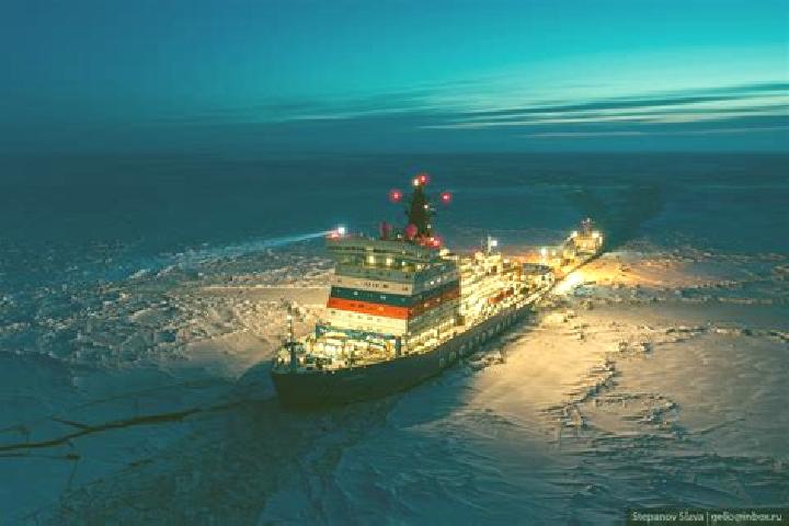 escort Arctic Bay