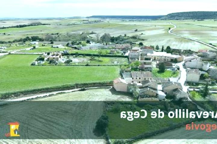 escort Arevalillo de Cega