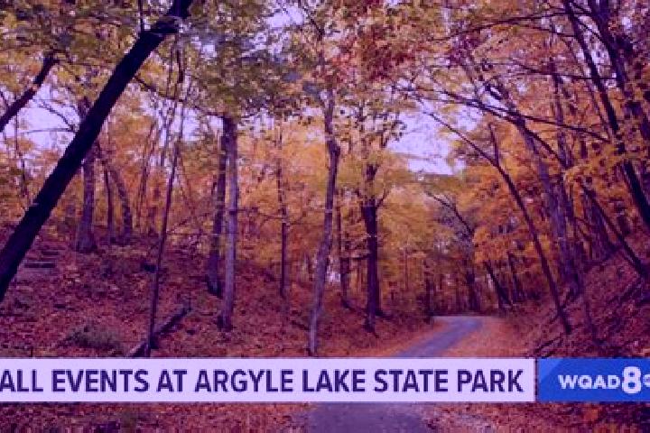 escort Argyle Park