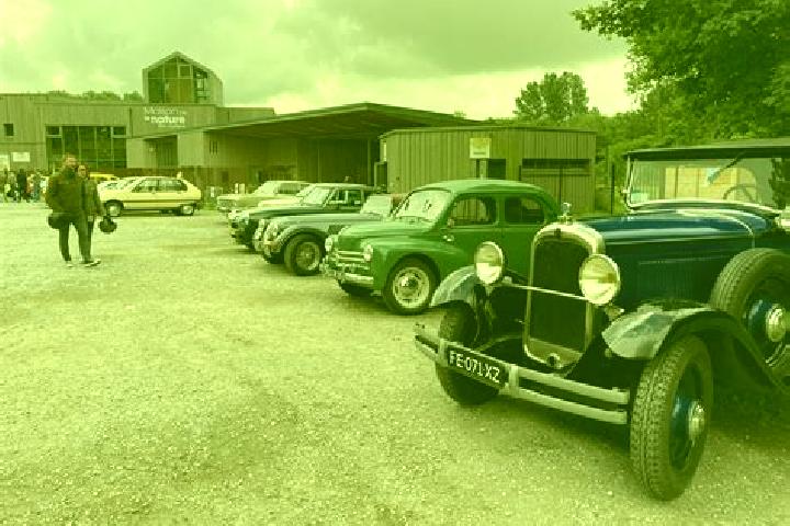 escort Arleux-en-Gohelle