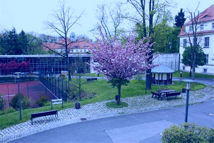 escort Arnsdorf
