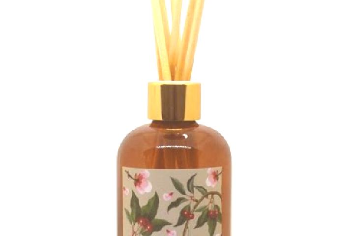 escort Aromas