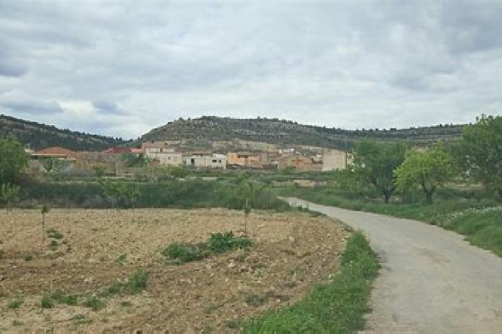 escort Arreguin de Arriba