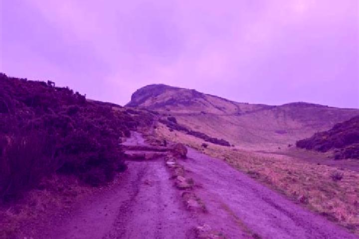 escort Arthur s Seat