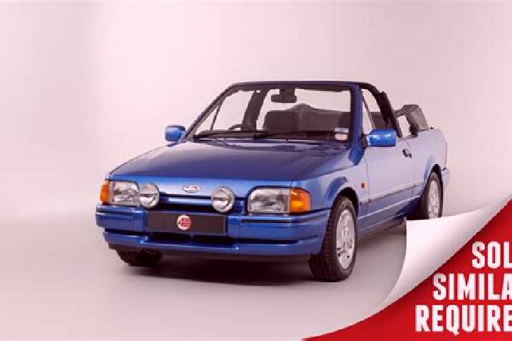 escort Arzignano