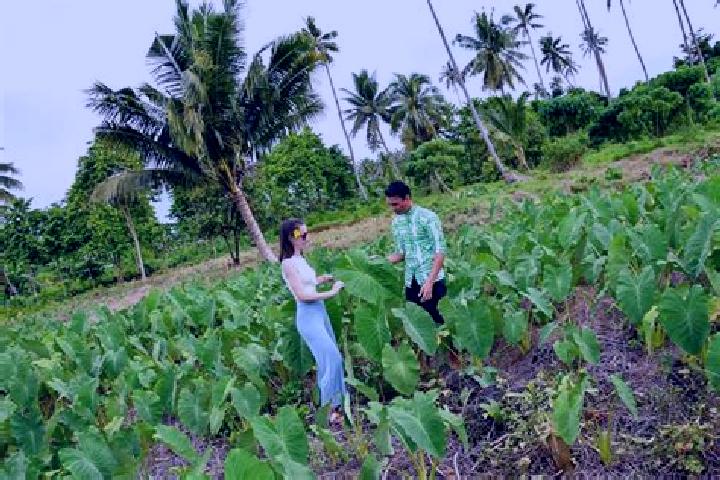 escort Asau Village