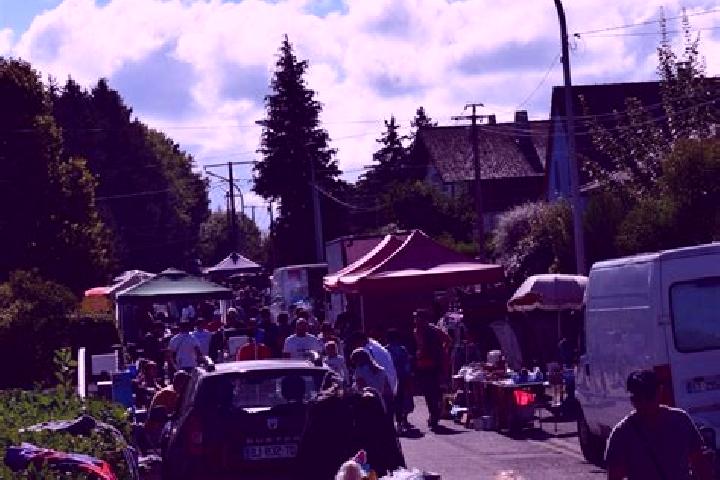 escort Aspach-le-Bas