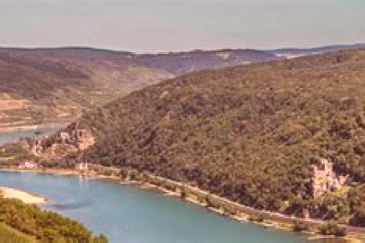 escort Assmannshausen
