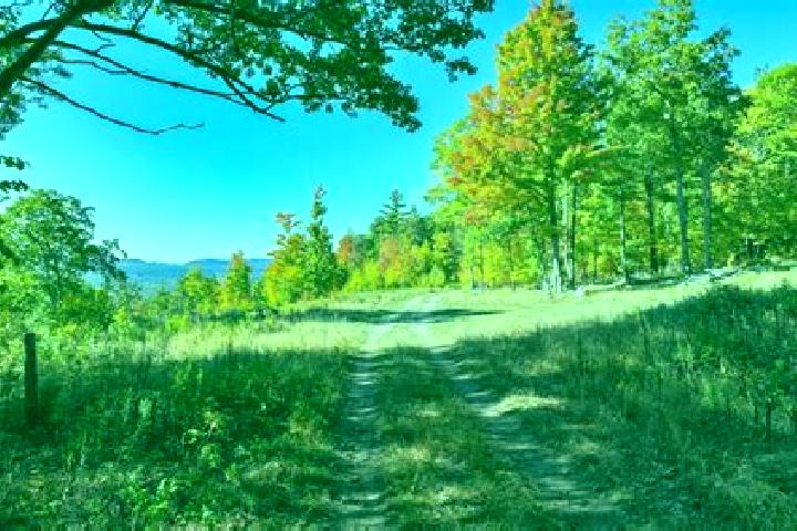 escort Au Sable Forks