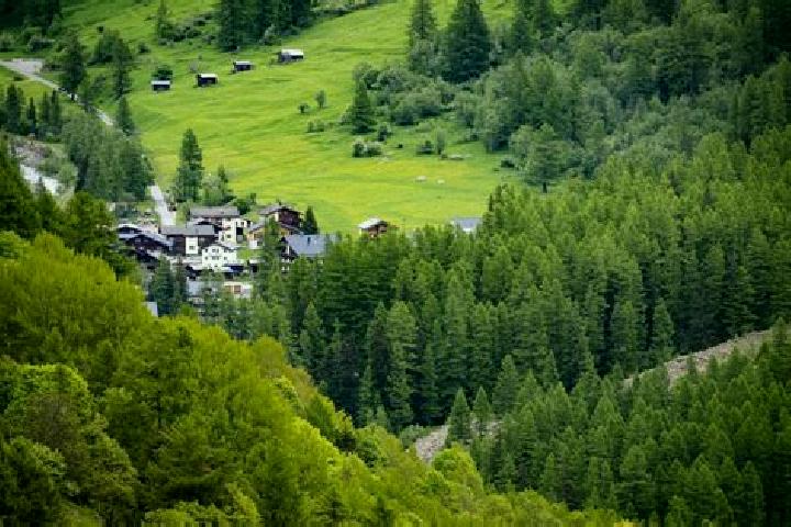 escort Au / Unter-Dorf