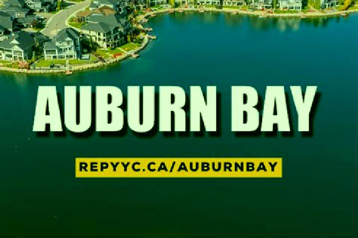 escort Auburn Bay
