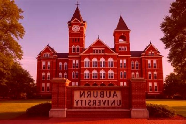 escort Auburn