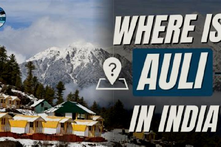 escort Auli