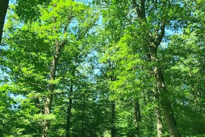 escort Aumont-en-Halatte