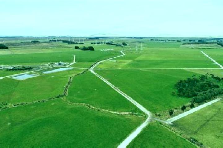 escort Awarua Plains