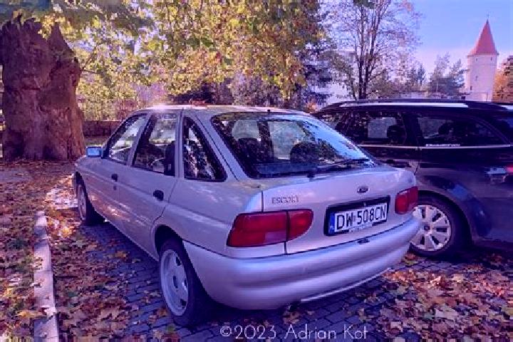 escort Baccon