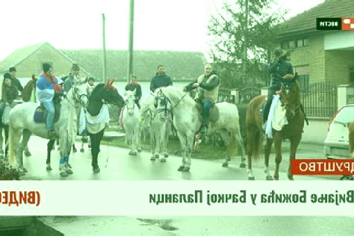 escort Backa Palanka