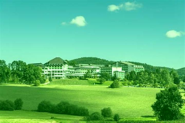 escort Bad Goisern