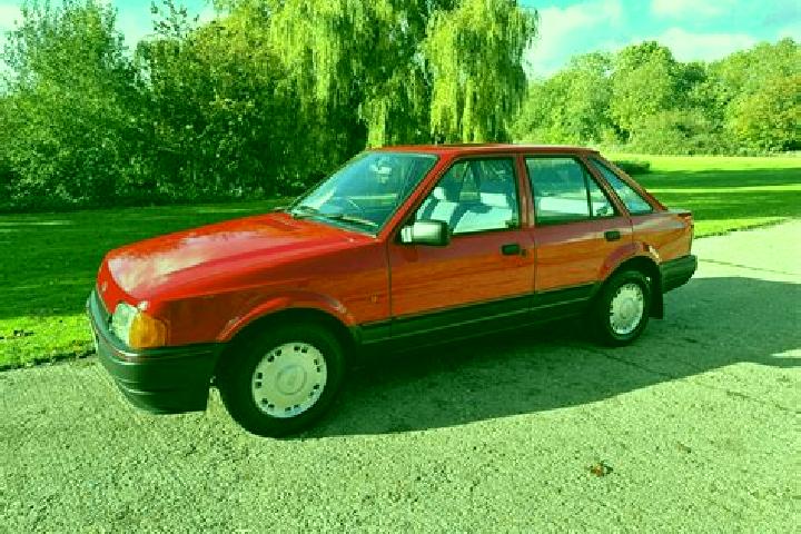 escort Bad Rud